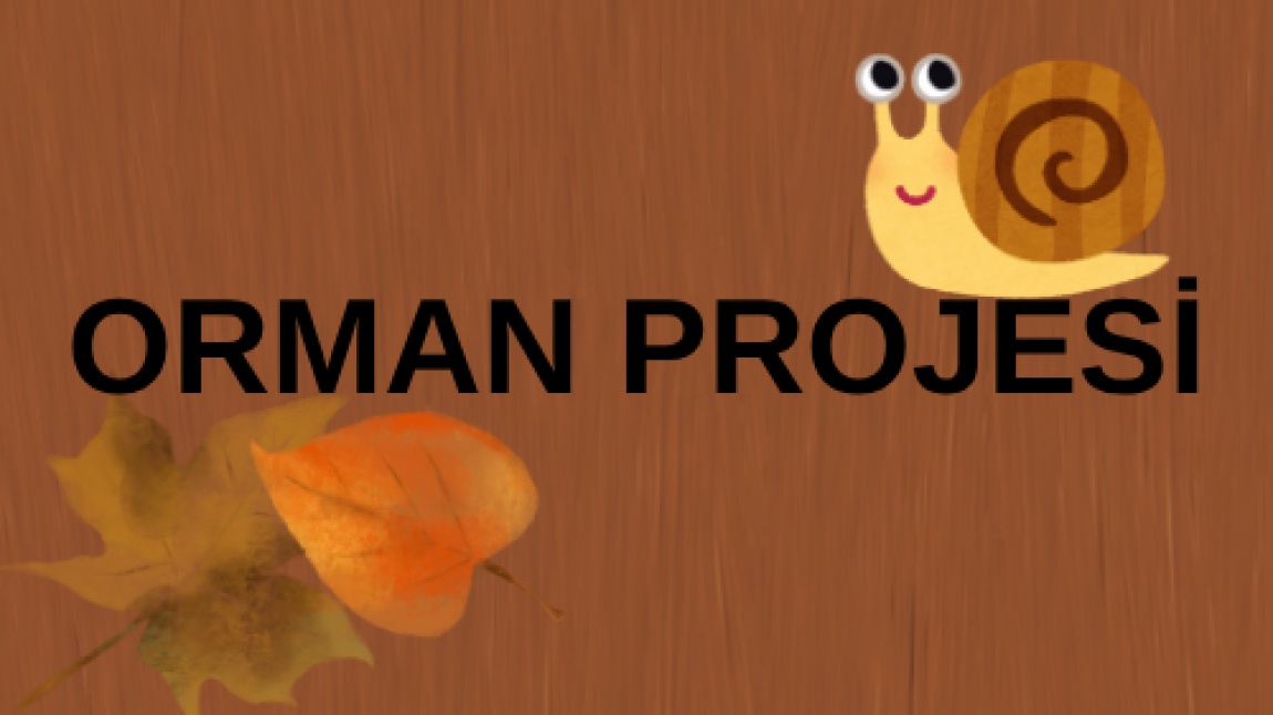 ORMAN PROJESİ